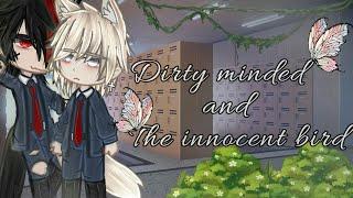 •||Dirty minded and innocent bird||•{By-i wanna die} want series on them?