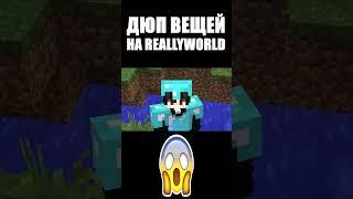 ДЮП ВЕЩЕЙ НА REALLYWORLD #Shorts