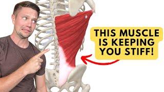 This Muscle Is Keeping You STIFF! (and most don't properly stretch it)