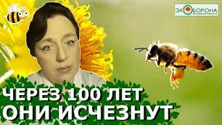 Насекомым осталось 100 лет - ученые #экология