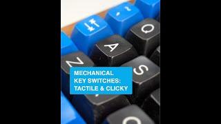 Mechanical Key Switch: Tactile & Clicky - Collin’s Lab Notes #adafruit #collinslabnotes
