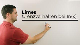 Limes, Grenzverhalten bei ln(x), Achtung: Ränder des Definitionsbereich | Mathe by Daniel Jung