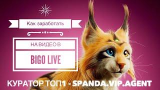 Как заработать на видео постах в BIGO LIVE? Монетизация видео в биго лайф. Куратор SPANDA.vip.AGENT