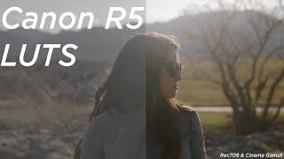Canon R5/1DXIII LUTs! Canon Log 2 & 3 (709 and Cinema Gamut)