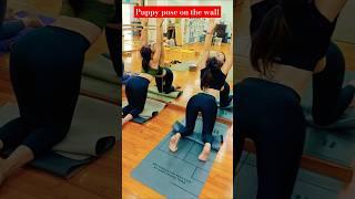 Backbend Class #shorts #backbend #sgfit #yogavideos #viralvideo #trendingshorts #fitness #yoga #reel