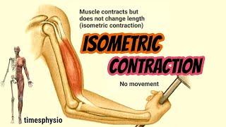 ISOMETRIC CONTRACTION EXPLAINED IN DETAIL  || timesphysio