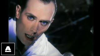 Peter Murphy - Strange Kind Of Love HD