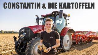 Constantin & die Kartoffeln!