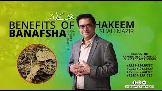 Banafsha ke Faide | Benefits of Banafsha | Hakeem Shah Nazir