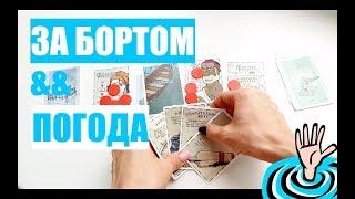 ОБЗОР НАСТОЛЬНОЙ ИГРЫ ЗА БОРТОМ + ПОГОДА