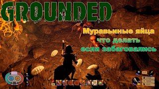 Grounded! Муравьиные яйца и что делать если они забаговались, 5 типов смузи, правильный блок.