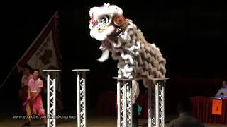 2020-Jan-12 #鱷魚恤香港世界醒獅錦標賽 #CrocodileWorldHongKong #LionDance Championship 2020 @ Hong Kong Coliseum