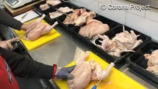 Полная разделка курицы. Школа Мясников - Corona Project