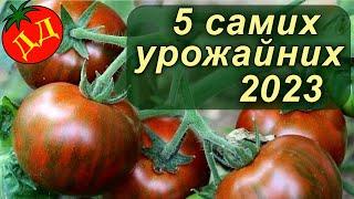 САМІ УРОЖАЙНІ НОВІ СОРТИ 2023