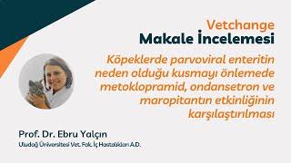 Vetchange Makale İncelemesi - Prof. Dr. Ebru Yalçın