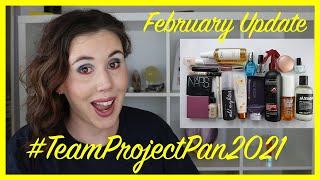 Team Project Pan 2021 | January Update