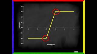 Profit and Loss Diagrams