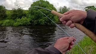 First Salmon of the Season with Davie McPhail