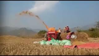 #Guru #Hindustan #Paddy #Thresher.