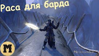 Neverwinter online (Невервинтер) - Выбор расы и характеристик для барда