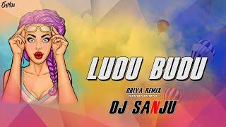 Ludu Budu | Oriya Remix | Rework | Dj Sanju Official