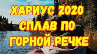 Хариус 2020,хариус на поплавок, осенний сплав по горной речке часть 1