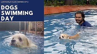 Dogs SWIMMING Day | LONAVALA vlog series | Ep 2 | Ss vlogs :-)