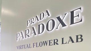 Prada Paradoxe Virtual Flower Lab