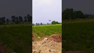 #former #technology #Drone spraying on mirchi fields