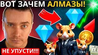 ВОТ ЗАЧЕМ АЛМАЗЫ ️ HAMSTER KOMBAT 🟢ЧТО ПРОИСХОДИТ В 3-Х МИРАХ! РЕАЛЬНАЯ ЦЕННОСТЬ АЛМАЗОВ! НЕ УПУСТИ