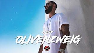 SHINDY Type Beat  - "OLIVENZWEIG" (prod. by Larkin) | 2024