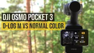 DJI Osmo Pocket 3 | D-Log M vs Normal Color