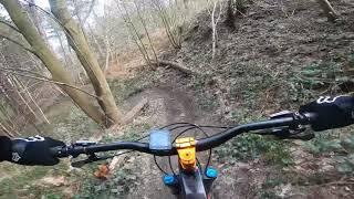 Wharncliffe woods: new XC