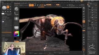 Insect Inspired Creature Design – Eric Keller – ZBrush 2024