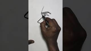 Easy Tricky Head Sketch  Step by Step Drawing Tutorial