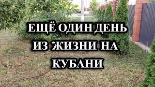 672ч Наша жизнь на юге России/Переехали с Урала в Белореченский район