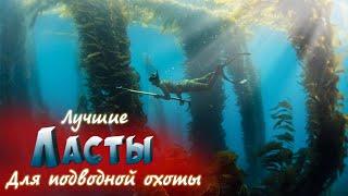 ЛУЧШИЕ Ласты для подводной охоты!