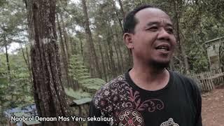 Hutan Tapak Naga Karang Tengah Wonogiri