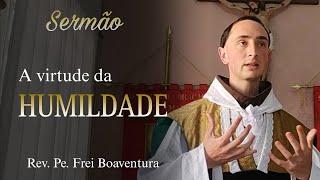 Sermão | XIº Domingo depois de Pentecostes - Rev. Pe. Frei Boaventura