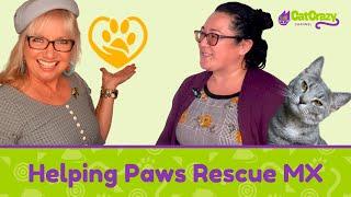 San Diego CFA Cat Show - Helping Paws Rescue MX