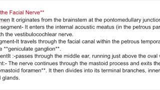 ANOMALOUS FACIAL NERVE 1