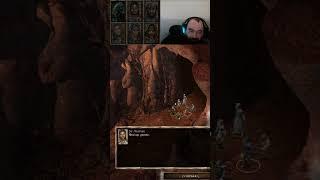 The funniest companion in Baldur's Gate