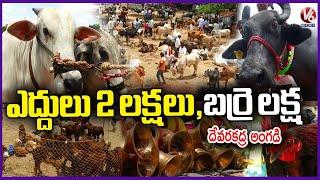 Devarakadra Bulls Market | Biggest Cattle Market In Mahabubnagar | V6 News