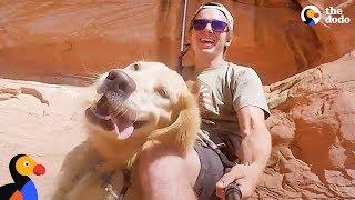 Adventure Puppy Helps Rescuer Heal After Losing His Best Friend | The Dodo