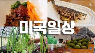 미국 박사 부부의 미국 뉴욕주 정착 생활기 | 텃밭 새로 만들기 | 뒷마당 바베큐 | 장보기 | 뉴욕 주부 일상 브이로그 |  Korean Mom in US 