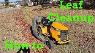 Easy leaf cleanup: how to