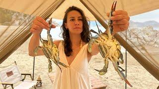 5 STAR CAMP ON THE BEACH: BLUE CRAB TASTE AND OPEN AIR CINEMA