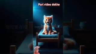 #cat #story #motivation #love #animation #4k #marvel #funny #trend #kitten