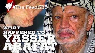 Yasser Arafat's Cause Of Death I The Feed