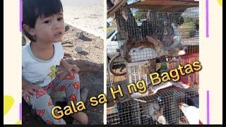 GALA SA H NG BAGTAS TANZA CAVITE I MATRON VIDEOS